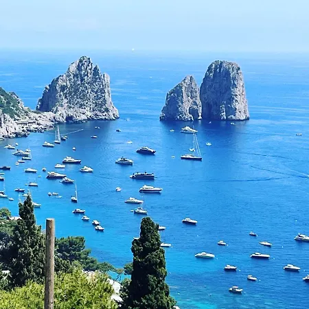 Villa Olga Luxury Capri-2